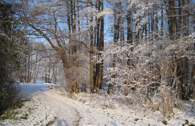 Holiday Apartment Erika Leonhardt - Foto 10