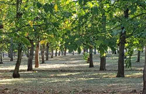 Maison de Charme avec Jardin à Jayac - FR-1-616-465 - Foto 22