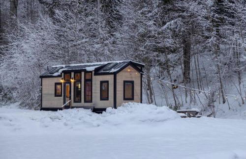 Thistle House at Camp Greenwood Vermont with Sauna - Foto 31
