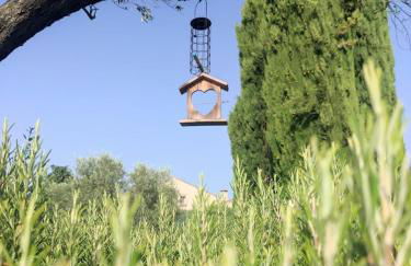 Le gite de lOlivier en Provence - Foto 23