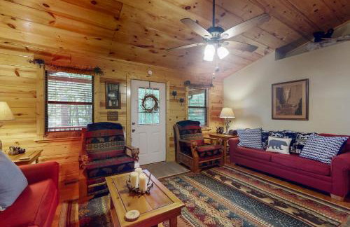 Bear Necessity Cabin - Foto 9