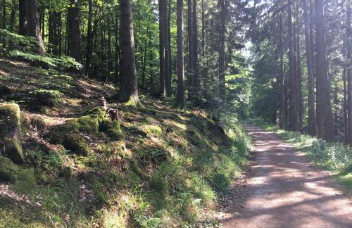 Infinity Two - Foto 27