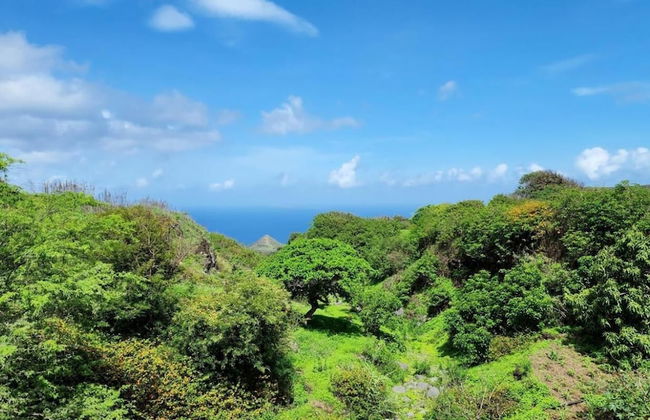 Casinha Nova - Entire Home With City & Ocean View in Sao Filipe - Foto 53