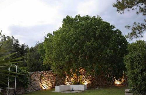 Masseria Luci - Foto 39