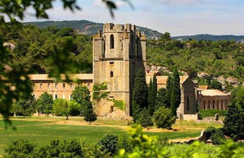 Le soleil d Eugènie appartement dans résidence avec Piscine commune près de Carcassonne - Foto 43