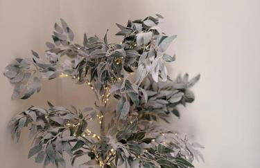 Flat in Manchester – Dudleys Dove - Foto 16