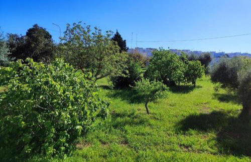 Tranquil Villa in Apulia - Foto 31