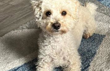 Room with a view - Foto 45