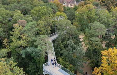 Wald und Wohlsein - Foto 51