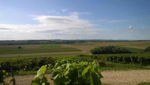 Rotwein Apartment - Foto 4