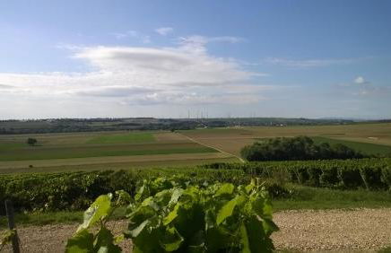 Rotwein Apartment - Foto 4