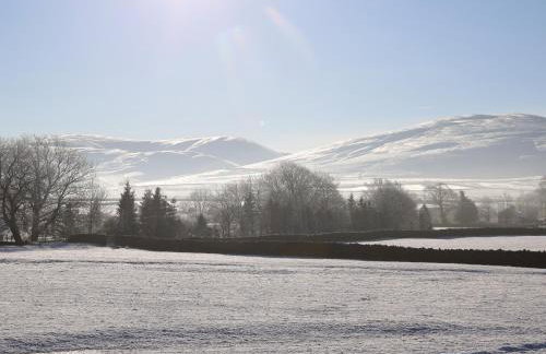 Fig Cottage - Photo 22