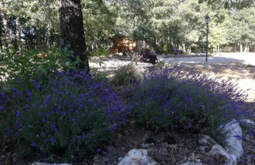 Cabañas Vallecino - Foto 13