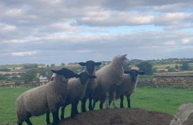 The Groom's Cottage - Foto 20