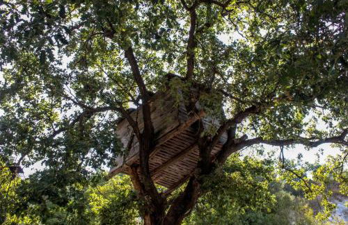 Fattoria Armonia - Foto 37