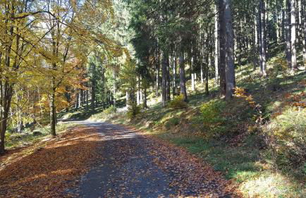 Ferienhaus Bergidylle - Photo 45