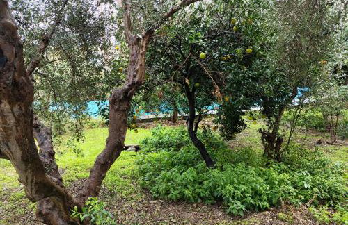 Giannis Gerakios apartments by climbing house - Photo 47