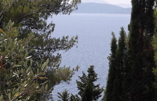 Apartmani Nena - Foto 22