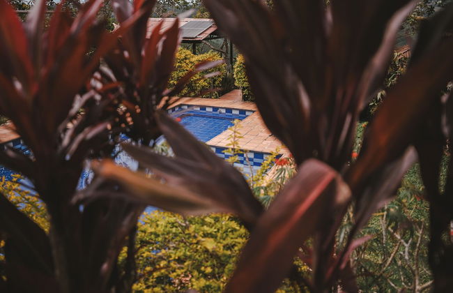 San PEREGRINO - Photo 7