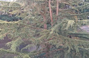 Large and superb apartment near Paris - Foto 37