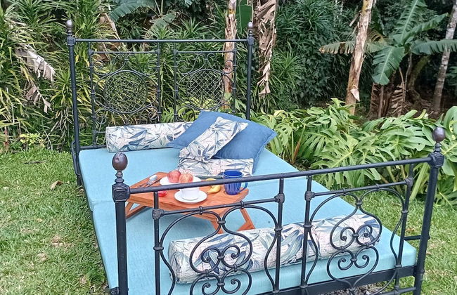 Sítio Toca da Aldeia - Foto 26