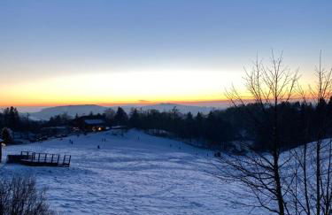 Ferienhaus Mountain View Six53 mit Sauna und Kamin in St. Andreasberg - Foto 51