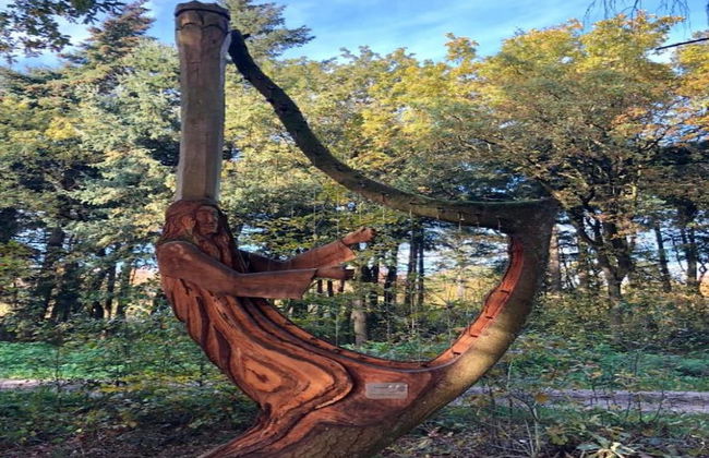 Holiday House in Friesland With Garden - Foto 17