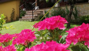 Casas los Cantores - Foto 2, Garden