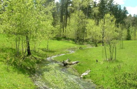 Gorgeous Private Cottage Rental in the Black Hills of South Dakota - Foto 14