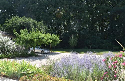 le gîte de Montagnac - Foto 13