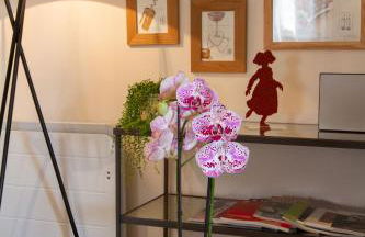 Gîte LES CEPAGES - Foto 17