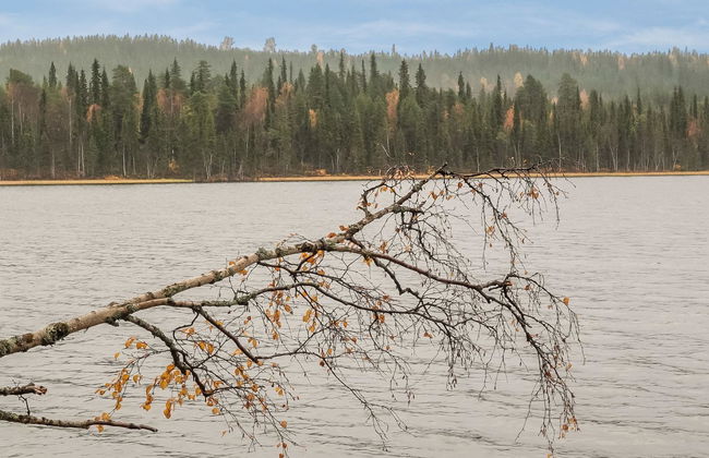 Lomaväinö 13 - Foto 21