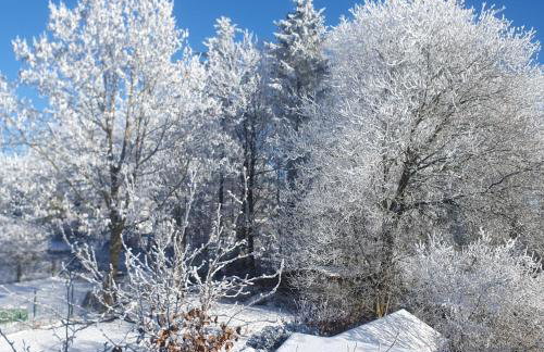 Ferienwohnung Zum Moor - Foto 37