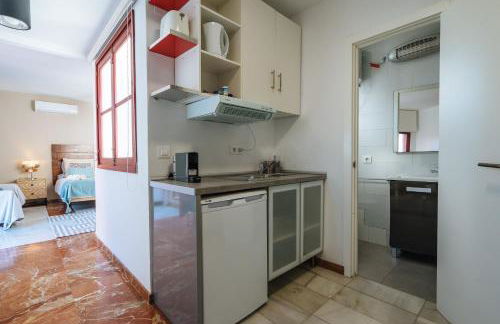 Ático lujo junto a la catedral. Giralda - Foto 18