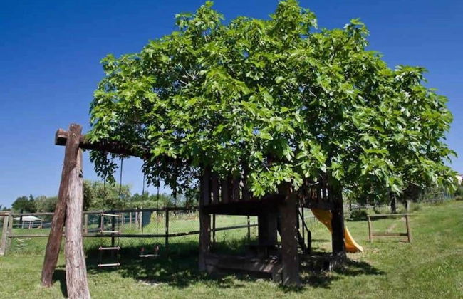 I Sassi Di San Giuseppe - Foto 37