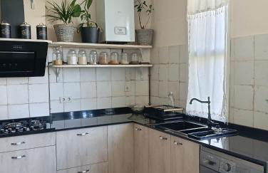 Piso Iwvaxi, gallery house. Ourense. - Foto 21