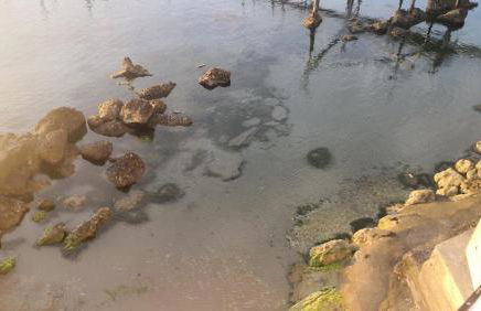 Casa di Venere - Fossacesia - Foto 47