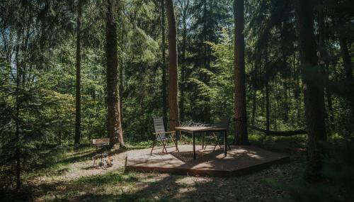 Forest Cabin - 50min od Warszawy - Foto 5, Garden