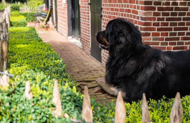 Cozy Apartment in Enschede Near Forest - Photo 68