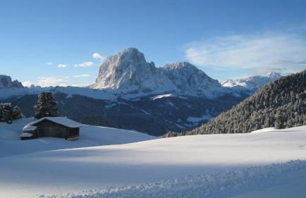 Apartments Dolomie - Foto 16