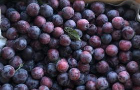 Agriturismo Villa Gaia - Foto 65