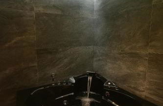 Jungle Room Strasbourg - Évasion Tropicale - Sauna Jacuzzi Balnéo - Foto 35