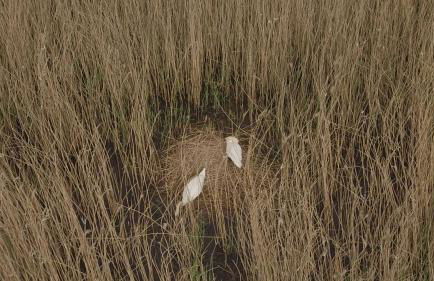 Ferienwohnung `Schwanennest - Foto 7