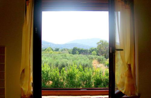 Appartamenti Gli Ulivi Di Maremma - Foto 22