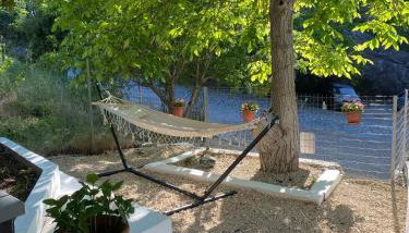 Sevastie’s home - Foto 3, Garden