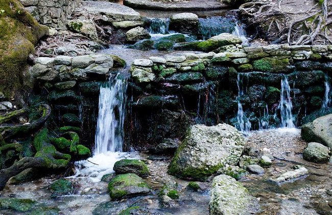 Vallée des papillons et vin, huile d'olive, visite de dégustation de miel (petit groupe) - Photo 7