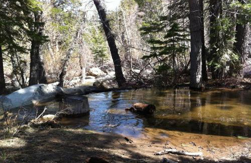 Tahoe Cottage perfect for couples and outdoor enthusiasts - Foto 41