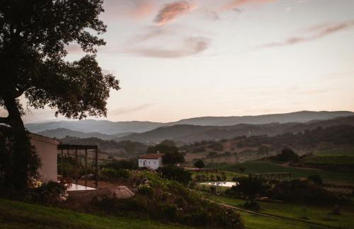 Auberge Santu Martine Cottage with Pool (Ollastru) - Foto 28