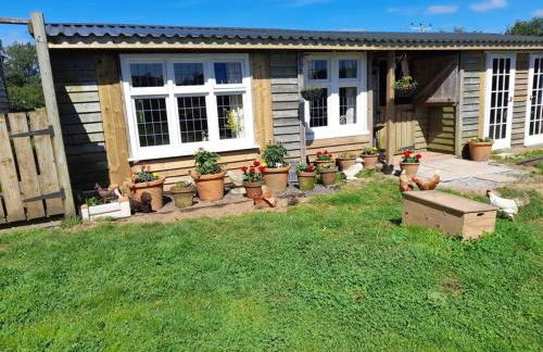 Puddle Duck Peeps Out Chalet - Foto 1