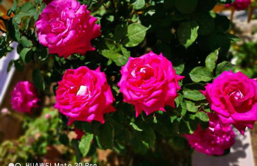 Ξένιος Ζευς Ηλιακτής. Χώρος Χαλάρωσης & Ξεκούρασης - Foto 52